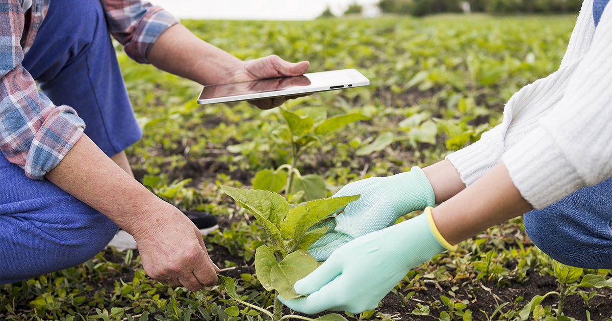 Elearning | Confederação Dos Agricultores De Portugal